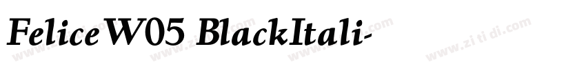 FeliceW05 BlackItali字体转换